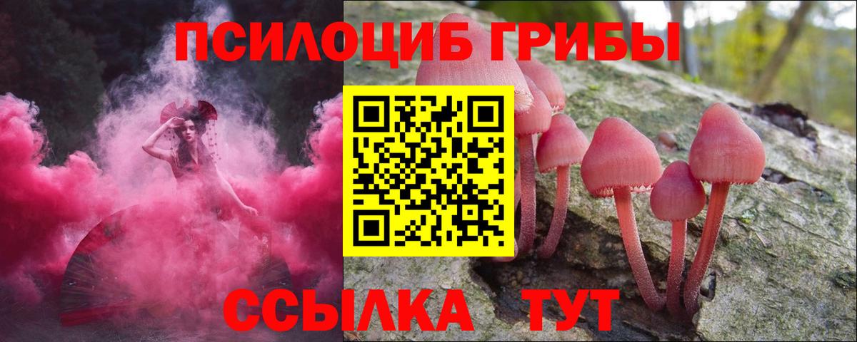 Галлюциногенные грибы MAGIC MUSHROOMS Коркино
