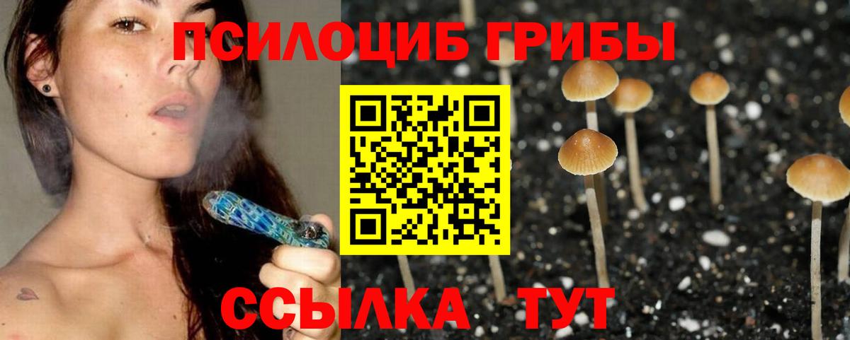 Коркино  Псилоцибиновые грибы прущие грибы  Вход с VPN 
